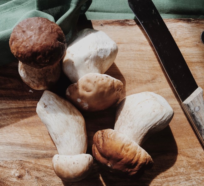 Processed with VSCO with m5 preset