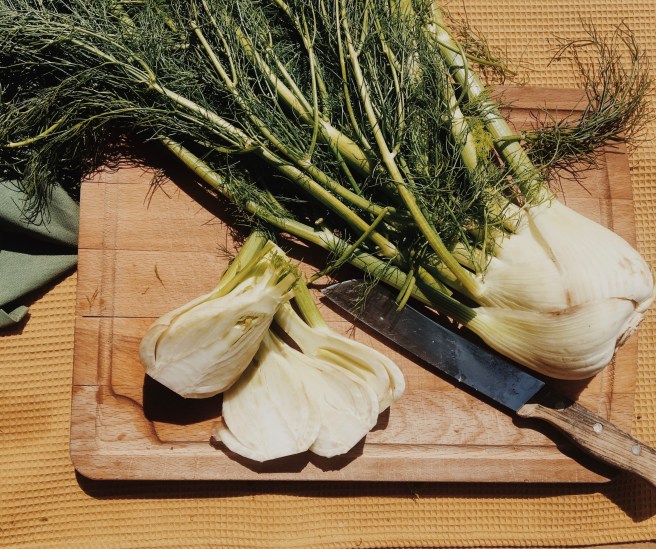 Processed with VSCO with m5 preset