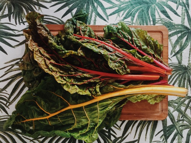 Processed with VSCO with m5 preset