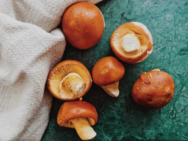 Processed with VSCO with m5 preset